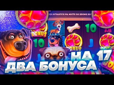 СЛОВИЛ ДВЕ ЛУЧШИЕ БОНУСКИ НА 17 СПИНОВ В THE DOG HOUSE !!! (ЭТО БЫЛО ВКУСНО)