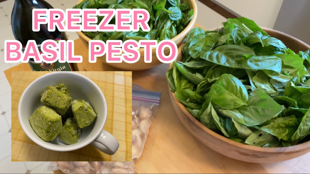 Basil Pesto for the Freezer - So yummy and versatile!