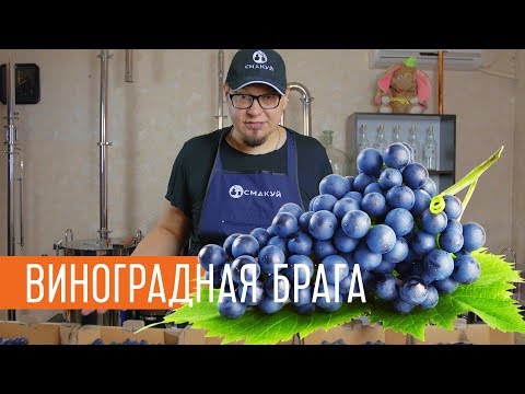 Ставим виноградную брагу