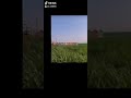 حلو المكان 