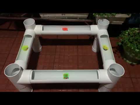 Video Bàn nuôi cá bằng ống nhựa PVC - youtube