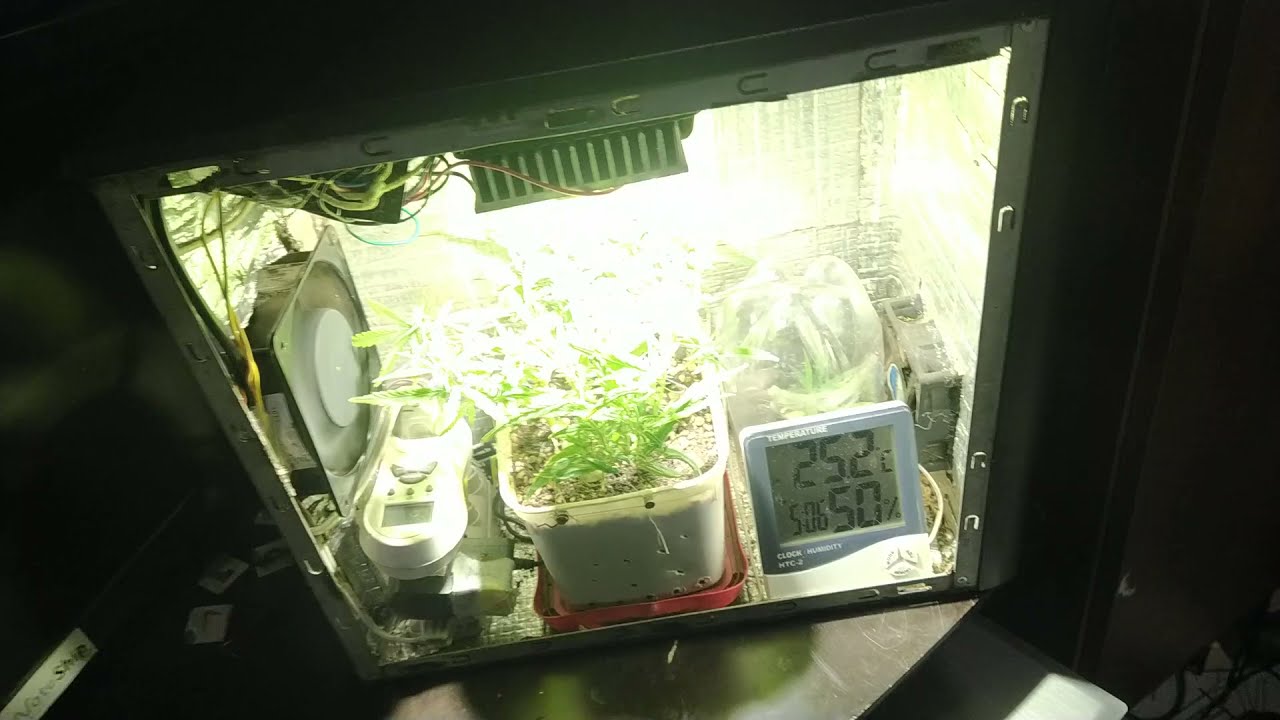 Pc grow iniciante (prenseed)