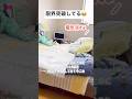 どんなオモチャを出しても遊ばなくなったのに一人になったら「まだ遊べる」アピールしてくる猫 #今これ #ハチワレ #ばんくん