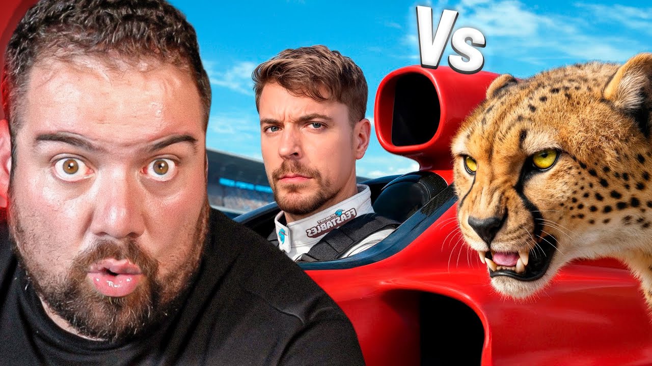 7 DUELOS Animales vs Humanos | Quien ganara?