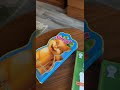 فندق اسكوت الخبر   الخبر نجومي