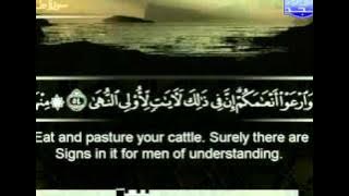 الشيخ شيخ أبو بكر الشاطرى | الجزء السادس عشر - ( 3 / 4 )