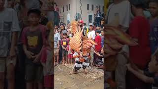 Download Lagu Pitike Panji laras keblak keblak keluar kalangan MP3