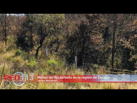 VIDEO Hallan un decapitado en la región de Zacapu