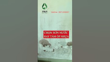 So Sánh Tấm Nhựa Ốp Tường Và Sơn Nước? #shots