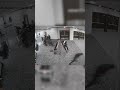 Video shows suspected gunman shooting Secret Service officer at WHCD