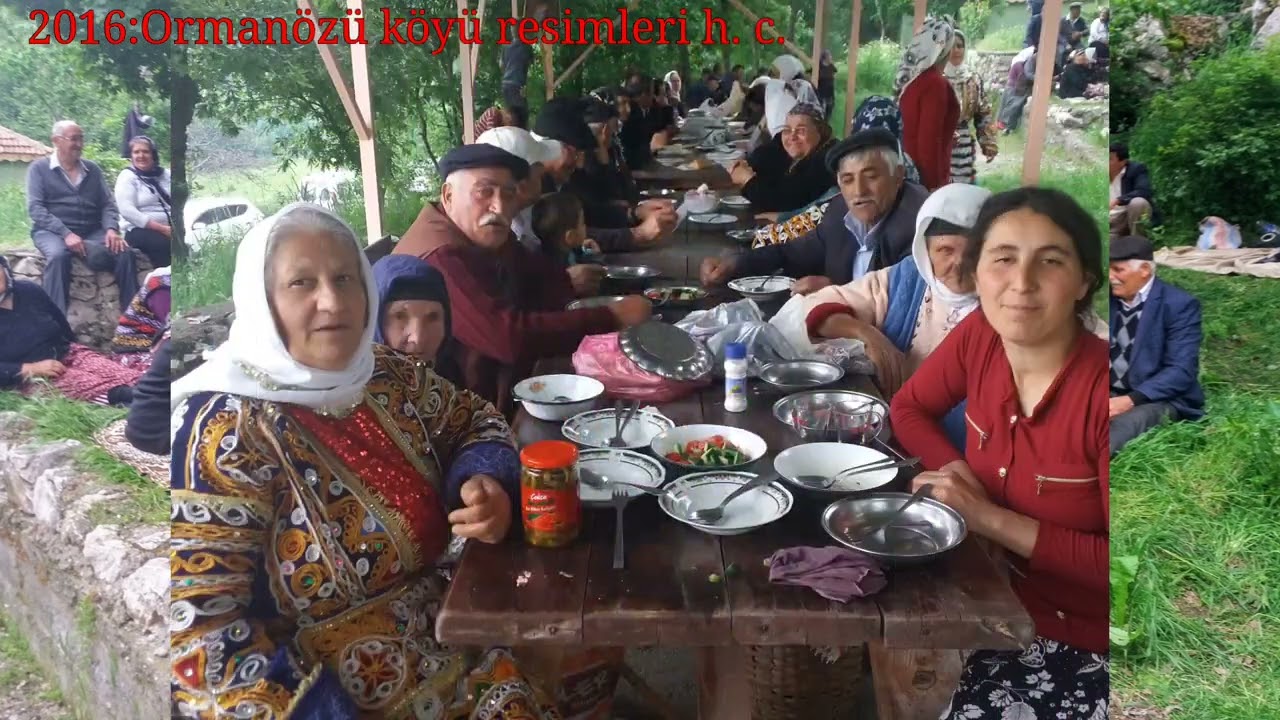 Ormanözü köyü 2016: resimleri (16)