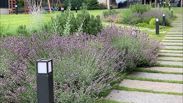 ландшафтний дизайн ділянки та реалізація Вишгород