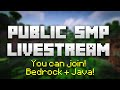 🔴 Public Minecraft SMP with Viewers! Java and Bedrock!