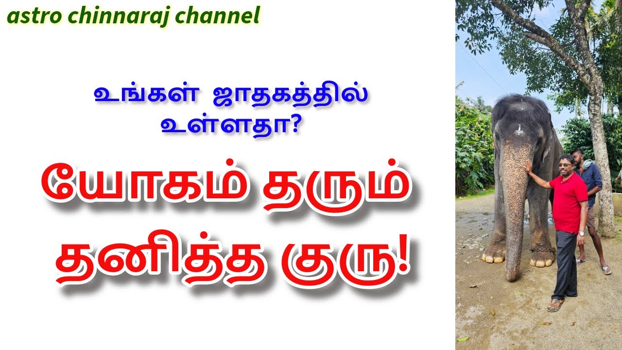 தனித்த குரு தரும் யோகம்! DINDIGUL P.CHINNARAJ ASTROLOGER INDIA