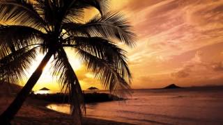 Someday Youll Want Me To Want You  Ricky Nelson