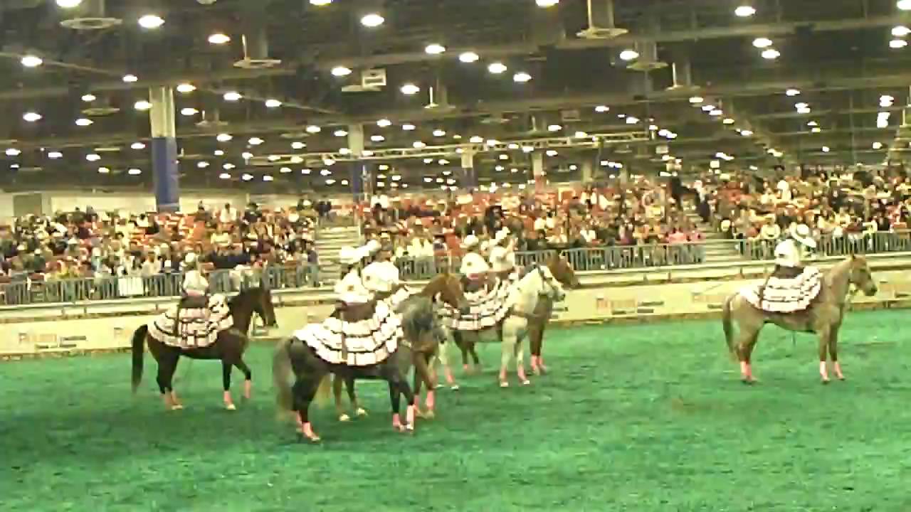 Escaramuza Las Cristeras en el Rodeo de Houston 2009 YouTube