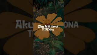 Storywa 30 Detik Terpesona