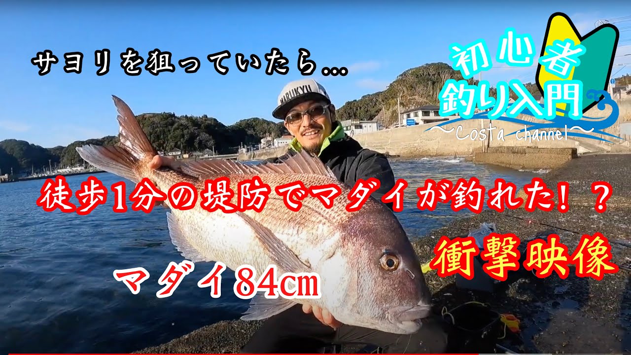 衝撃映像 サヨリ釣りのはずが徒歩1分の堤防でとんでもない大物が 魚釣り系you Tuberまとめサイト Fishing