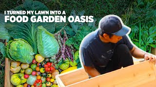 Build and fill a raised bed for free - How I turned my lawn into a food oasis