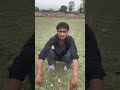 Hara Samba kitne Aadmi tha #shorts #trending #viral