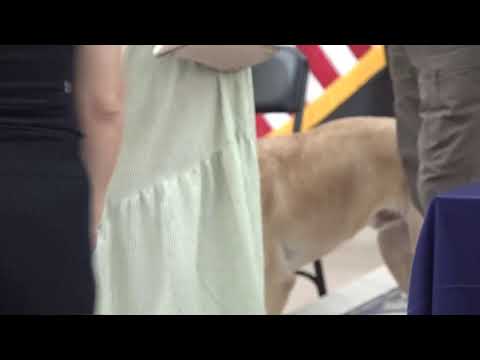 LIVE: Bomb-sniffing dogs graduate in time for World Cup security