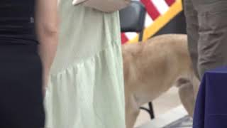 LIVE: Bomb-sniffing dogs graduate in time for World Cup security
