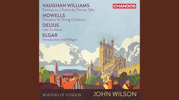 Concerto for String Orchestra: I. Allegro, assai vivace