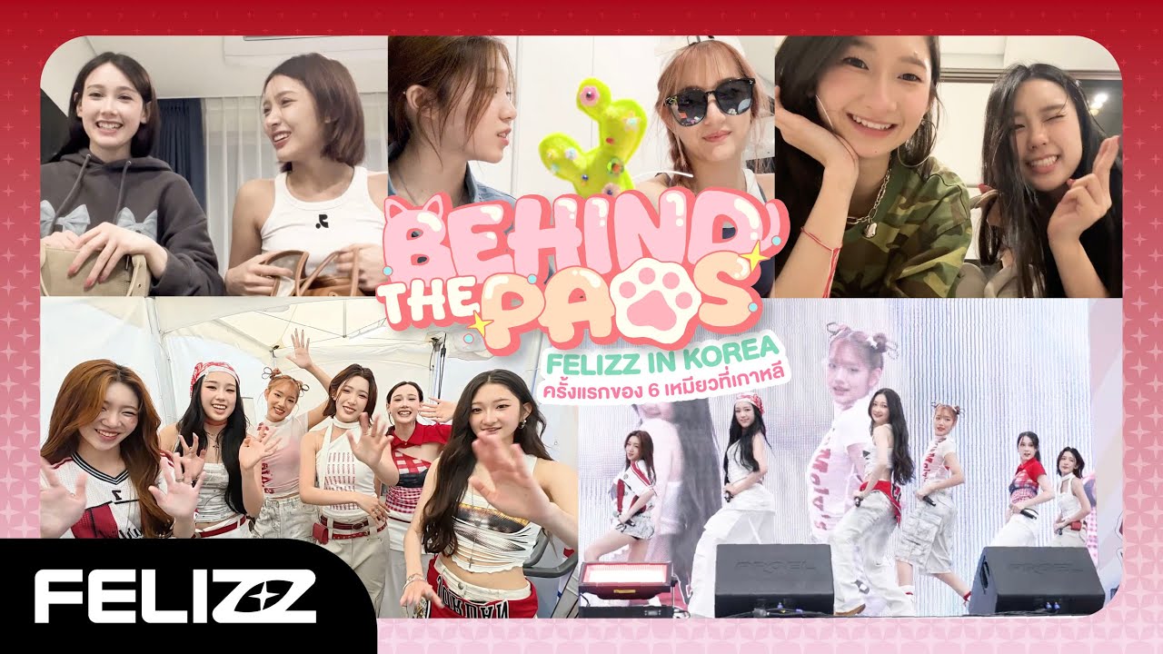 BEHIND THE PAWS EP.3 - เบื้องหลัง FELIZZ IN KOREA ครั้งแรกของ 6 เหมียวที่เกาหลี