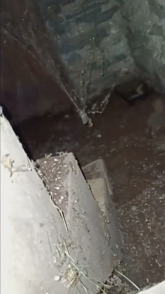 put my phone in the groundhog hole under my porch. and found the old