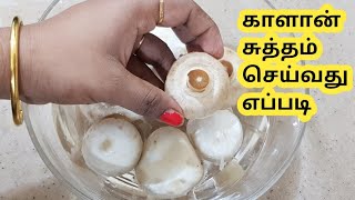 களன சததம சயவத எபபடHow To Clean Mushroomshow To Select Good Quality Mushrooms
