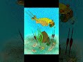um pouco sobre o alomanocaris #cambrian #animaisextintos #vidaprehistórica