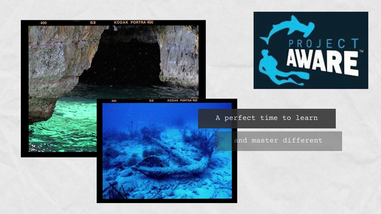 Selkies PADI IDC Staff Instructor