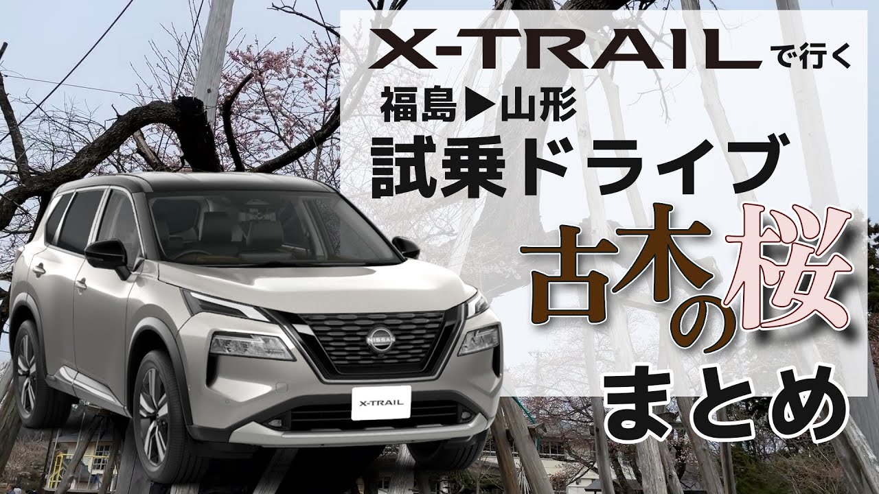 伊佐沢の久保ザクラ】一般道と高速道路を走って燃費計測【新型