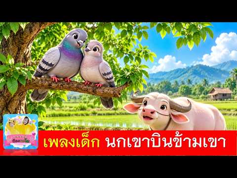 นกเขาบนหลังควาบ111