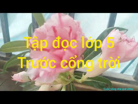 Video Tập đọc lớp 5 _ Trước cổng trời _ Trang 80 - youtube