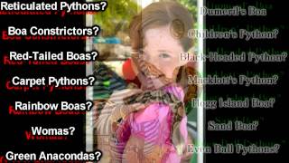 Snake Ban - Truth Behind the Lies Wealth