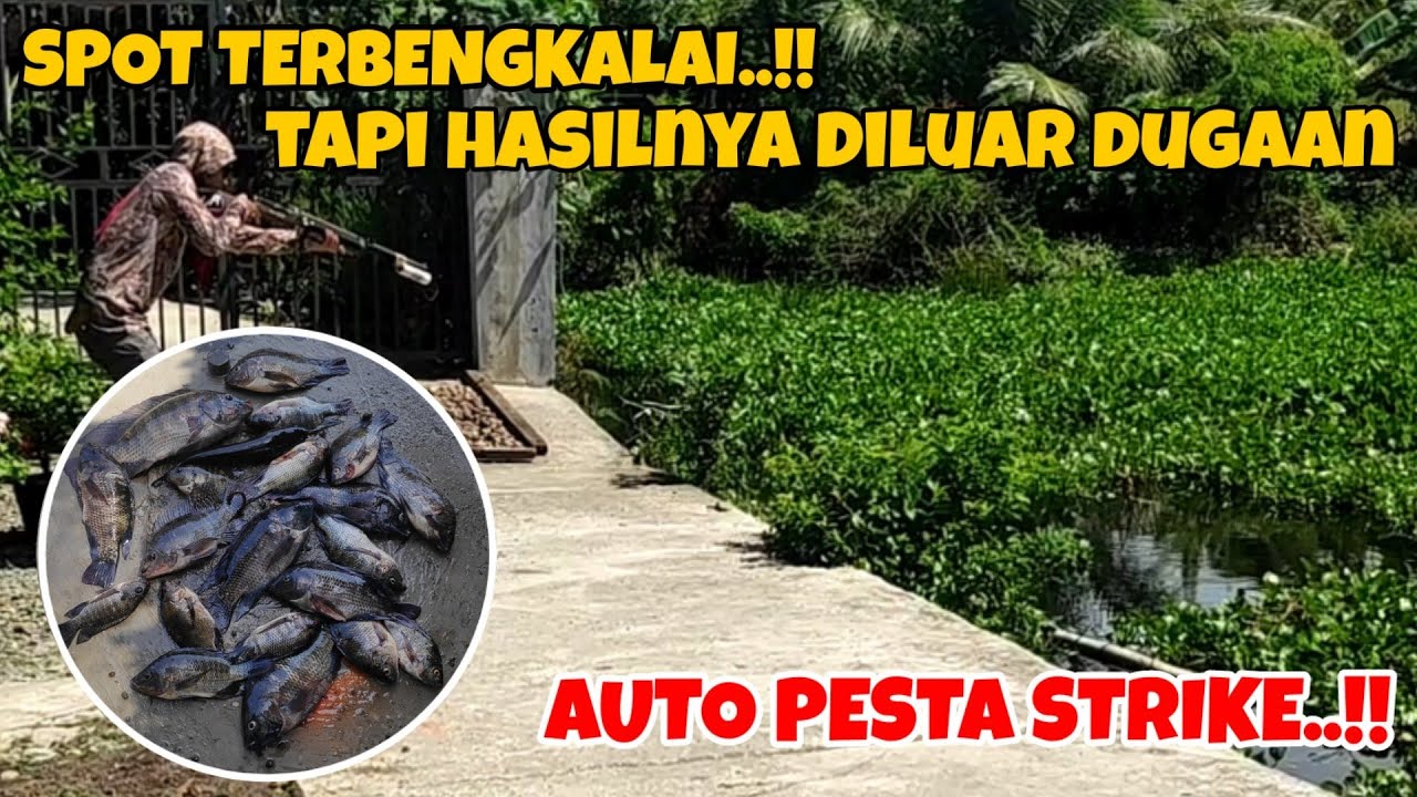 PASER MANIA - STRIKE BERTUBI-TUBI DISPOT YANG TAK DIDUGA DUGA.