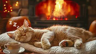 12 Hours Cat Healing Music 🐈Soothing Sounds for Deep Relaxation 🐈Deep Sleep Music for Cats