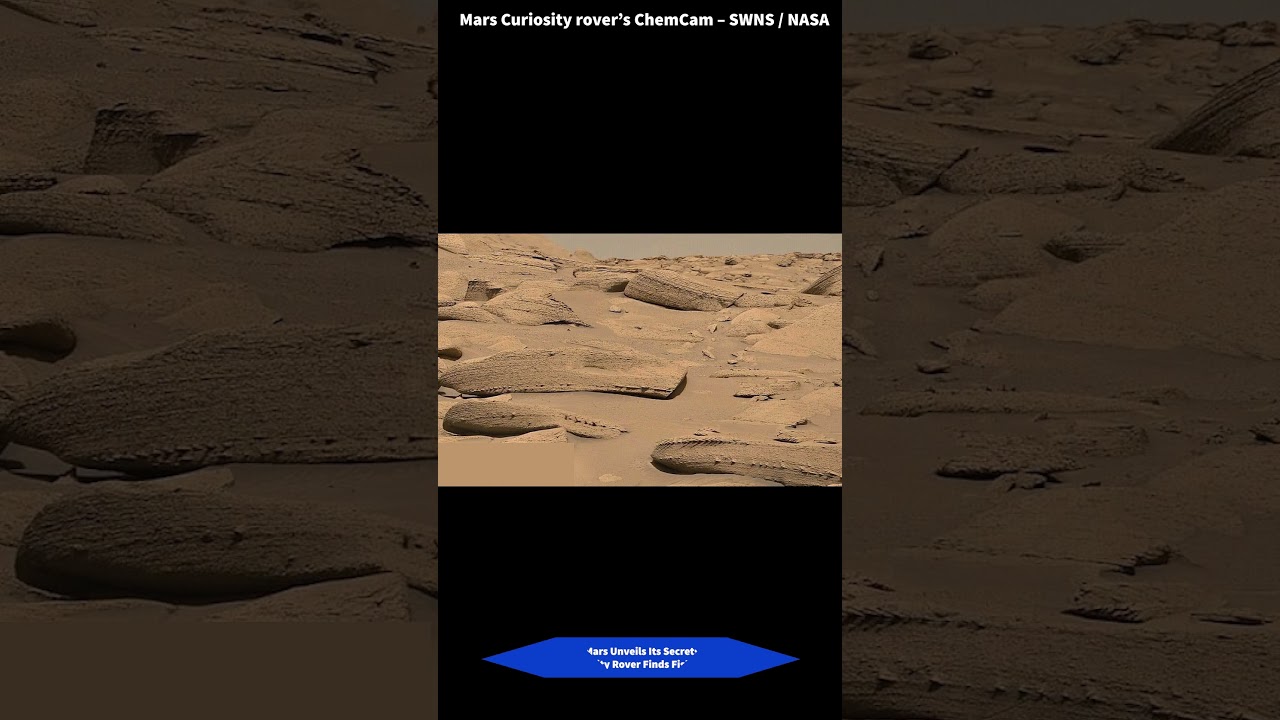 "Fish-Like Rock Formations Found on Mars by Curiosity Rover" 