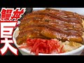 昭和のデカ盛り【大食い】鰻丼もっこり愛情盛り【全員死闘】 文福飯店 土用の丑の日にオススメ