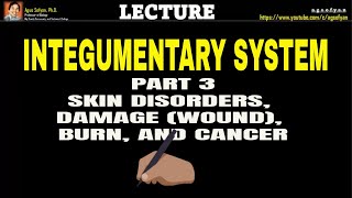INTEGUMENTARY SYSTEM - PART 3