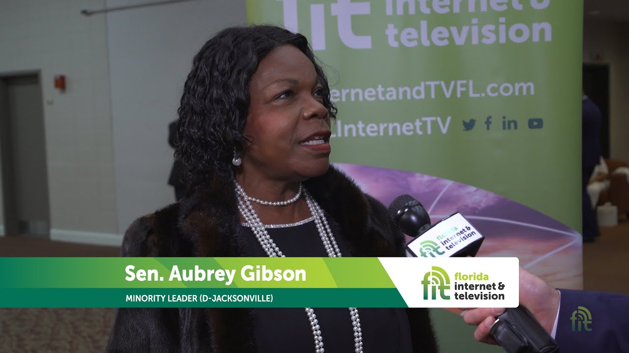 Sen. Audrey Gibson at the Florida Caucus of Black State Legislators Annual Scholarship Gala
