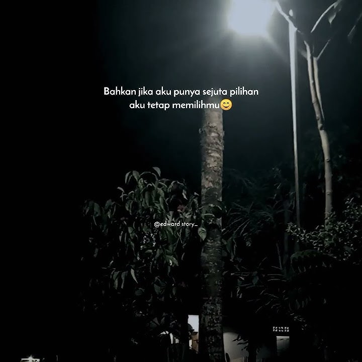 STORY WA MALAM HARI KEREN||story wa lagu barat kekinian||One Direction_night canghes story||