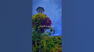 ( ولم أكن بدعائك رب شقيا ) 🤍 ، ماهر المعيقلي / سورة مريم .