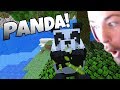 MEETING a PANDA in MINECRAFT