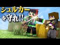 敵のシュルカーを壊して敵を全滅させろ シュルカーラッシュ
