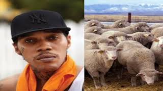 Did Vybz Kartel call GAZA fans sheep?