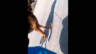 VID 20140320 131343