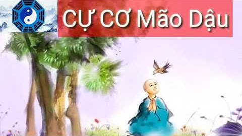 Tử Vi  Người Cự Môn Thiên Cơ Mão Dậu