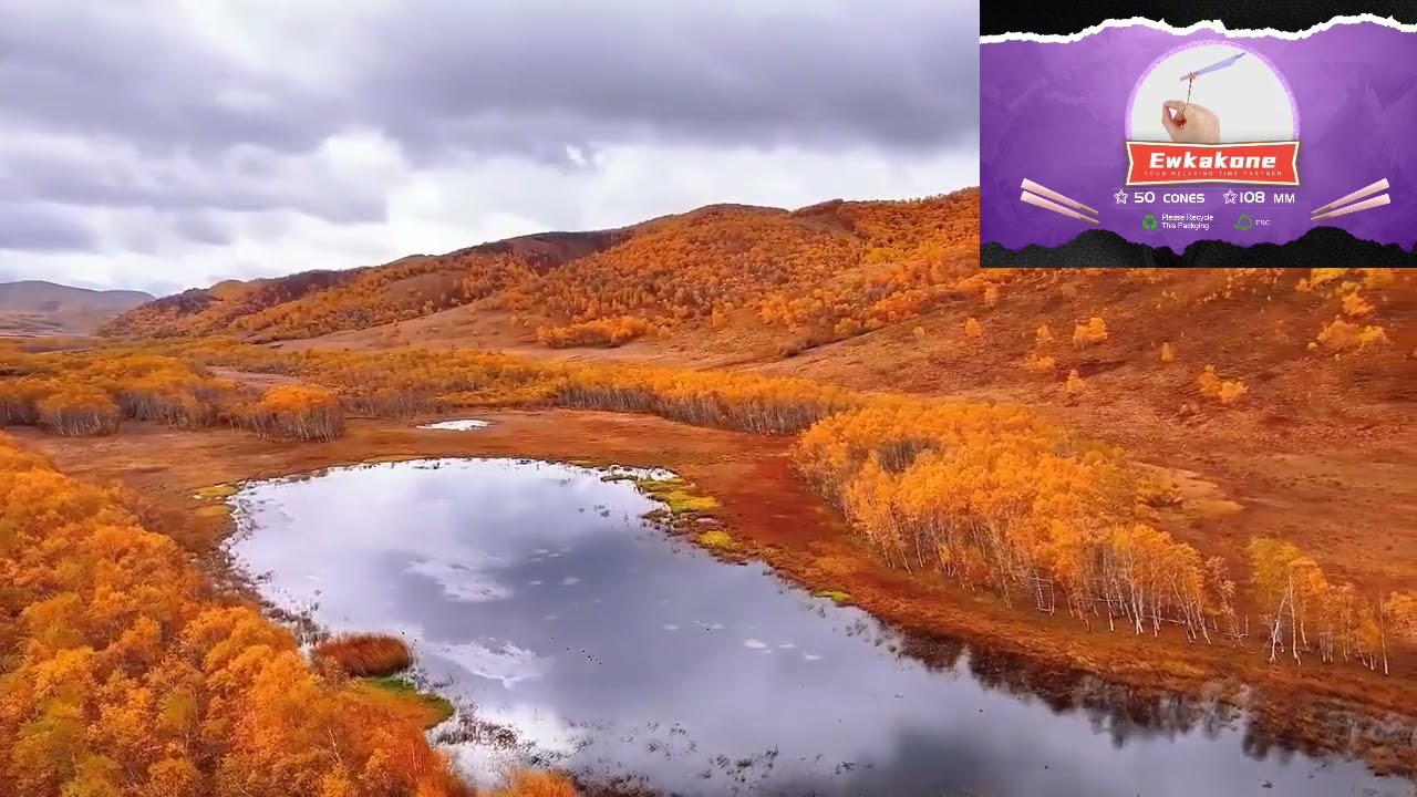 Ewkakone invites you to see the autumn leaves! Enjoy the joyful smoke time#ewkakone